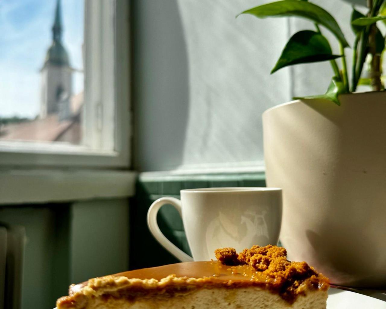 Extralarge Queen Room In The Heart Of Bratislava With Terrace Exteriör bild