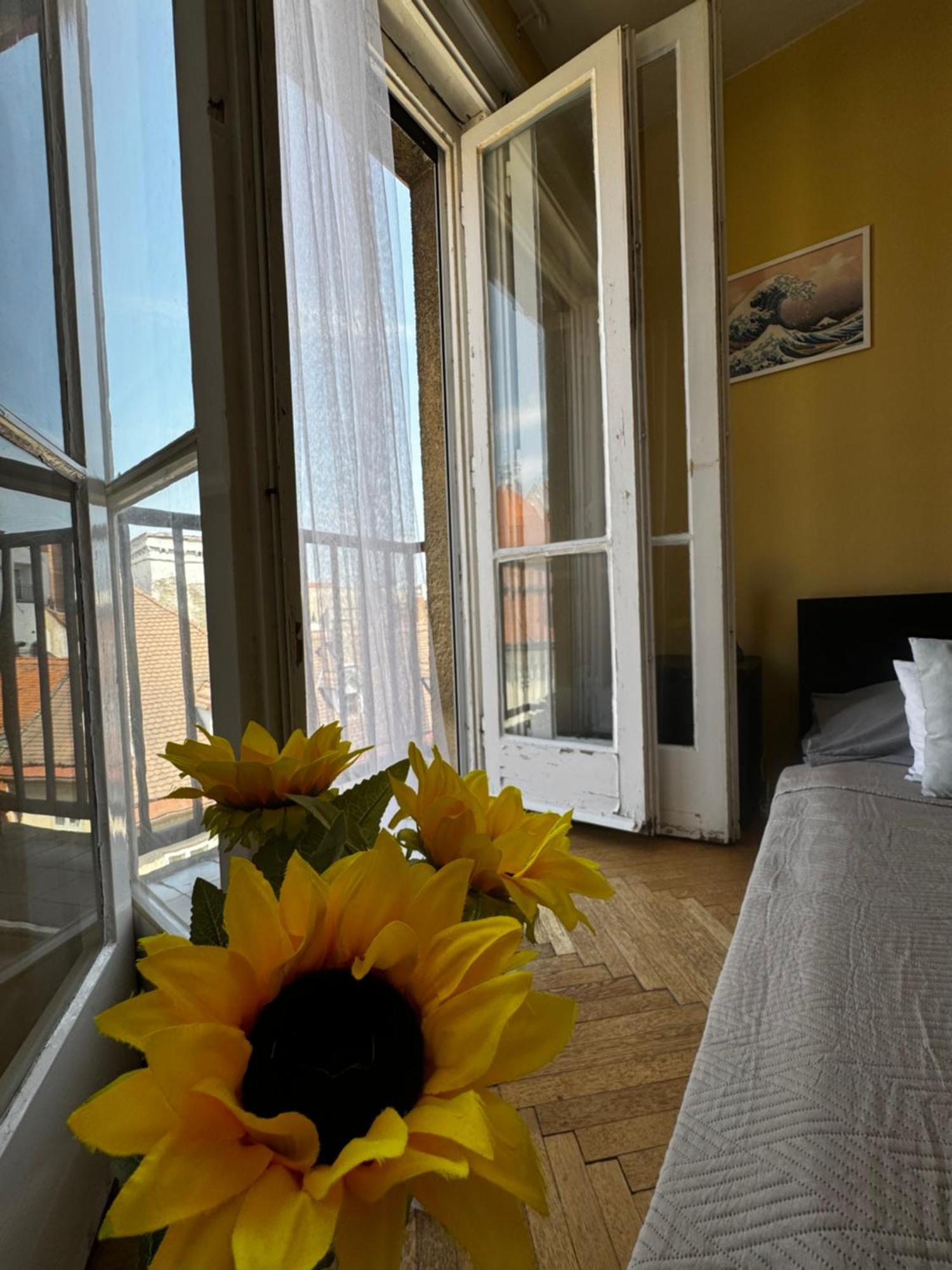 Extralarge Queen Room In The Heart Of Bratislava With Terrace Exteriör bild