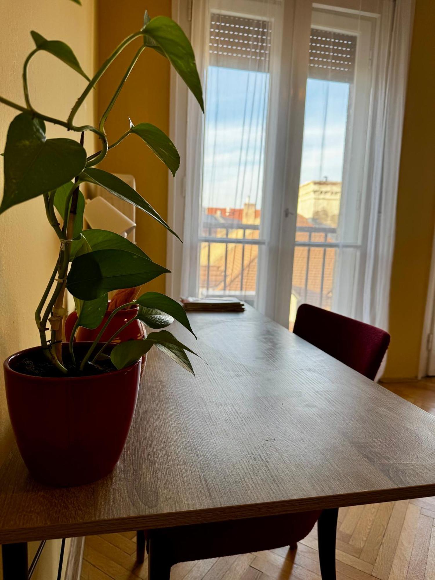 Extralarge Queen Room In The Heart Of Bratislava With Terrace Exteriör bild